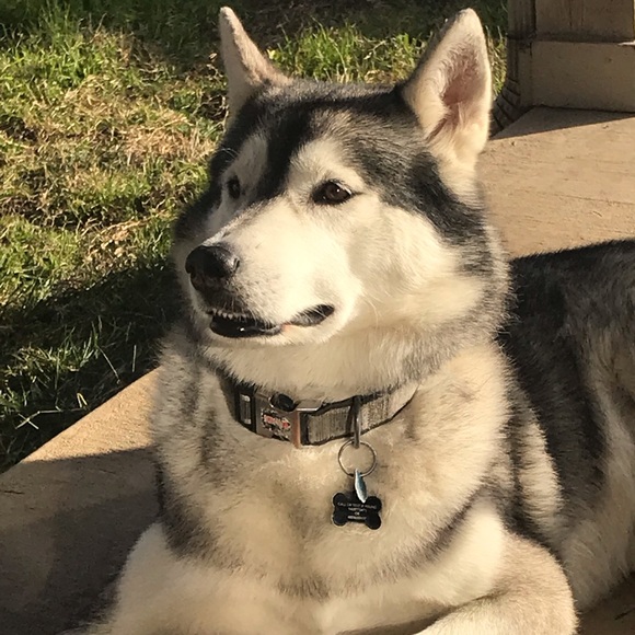 Meet your Posher, Autumn - Picture 3 of 6